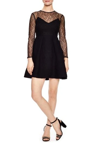 Shop Sandro Noir Illusion Lace Mini Dress In Black