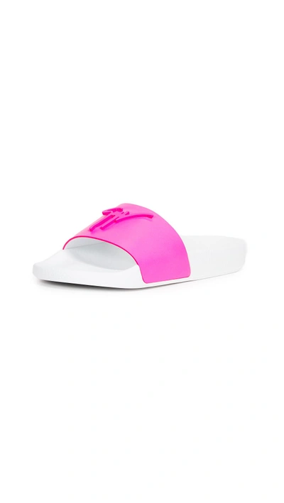 Shop Giuseppe Zanotti Slides In White/pink