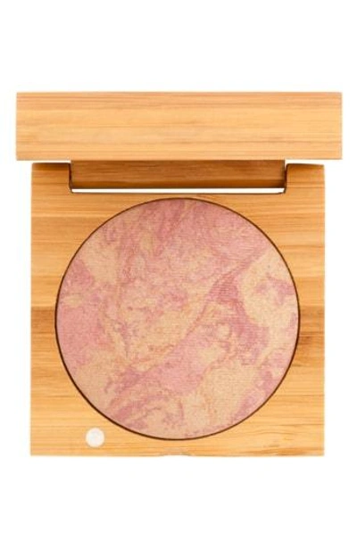 Shop Antonym Cheek Crush Highlighting Blush - No Color