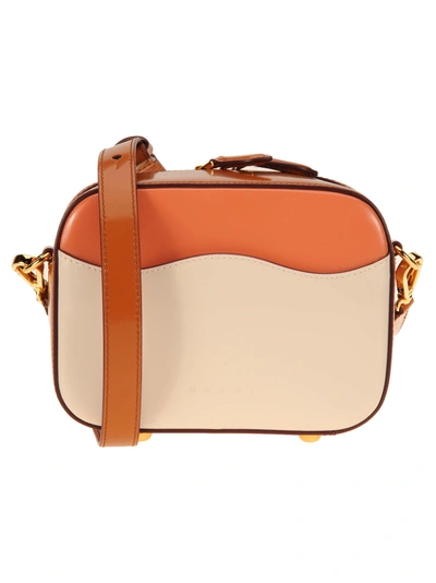 Shop Marni Shell Small In Rose/beige