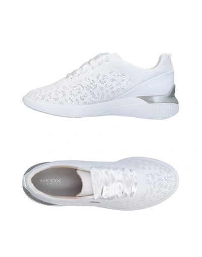 Shop Geox Sneakers In White