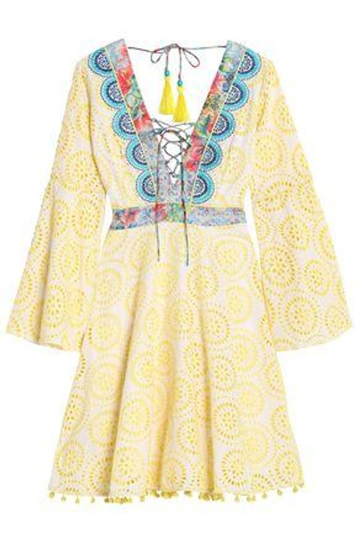 Shop Matthew Williamson Lace-up Embroidered Broderie Anglaise Cotton And Silk-blend Dress In Yellow