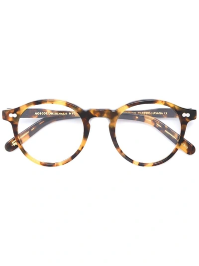 Shop Moscot 'miltzen' Glasses In Brown