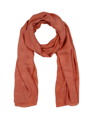 Shop Roberto Cavalli Scarves In Rust