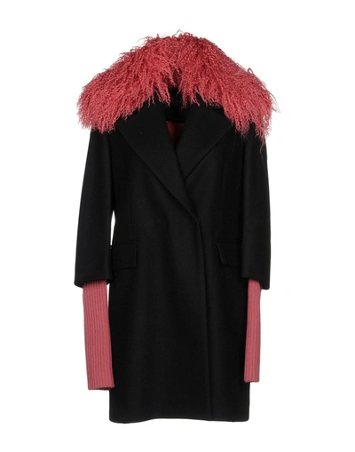 Shop Frankie Morello Coats In Black