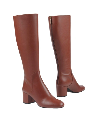 Shop Pollini Boots In Rust