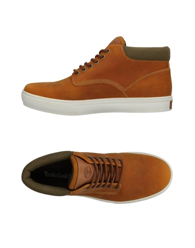 Shop Timberland Sneakers In Ocher