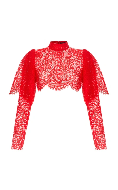 Shop Rasario Lace Cropped Top In Red