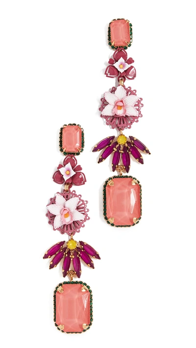 Shop Elizabeth Cole Hawkins Earrings In Pink