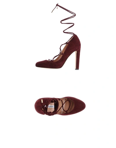 Shop Brian Atwood In Maroon