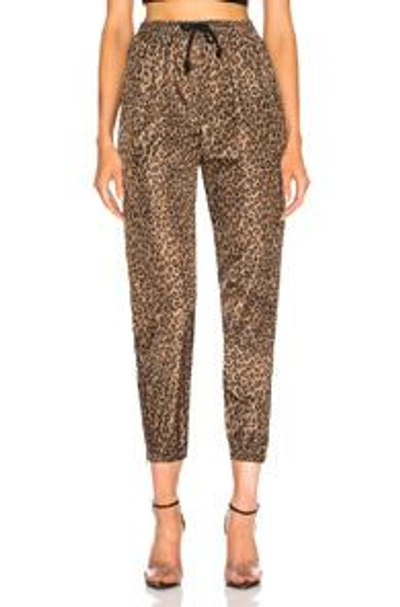 Shop Adaptation Leopard Track Pant In Natural