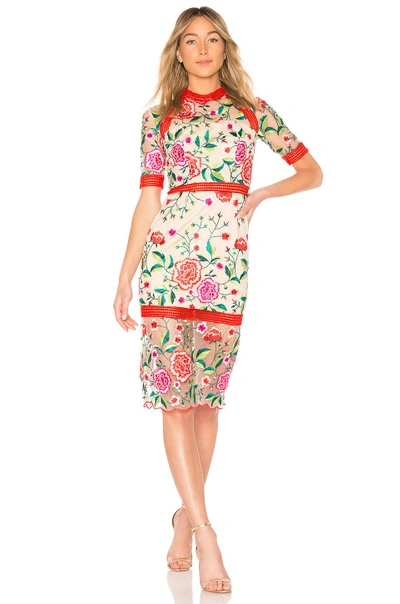 Shop Vone Mira Dress In Floral Embroidery