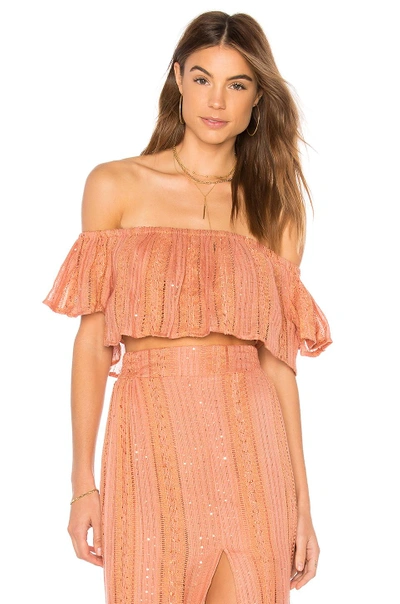 Shop Sundress Jade Crop Top In Rust