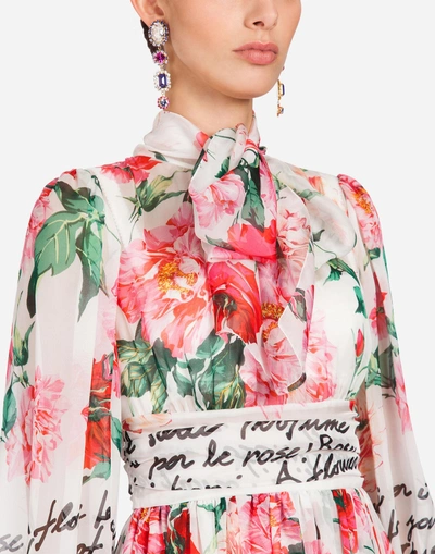 Shop Dolce & Gabbana Long Dress In Printed Chiffon In Multicolor