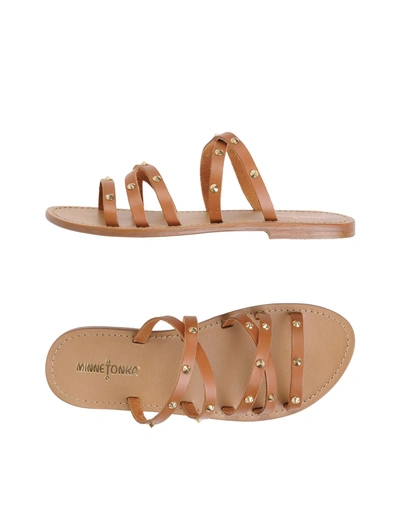 Shop Minnetonka Sandals In Brown