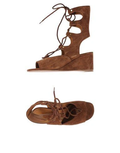 Shop Chloé Sandals In Camel