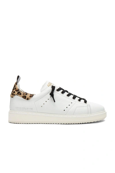 Shop Golden Goose Starter Sneaker In White