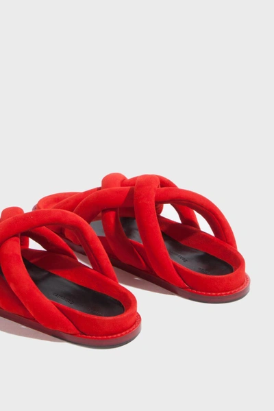 Shop Proenza Schouler Cross-over Suede Sandals In Red