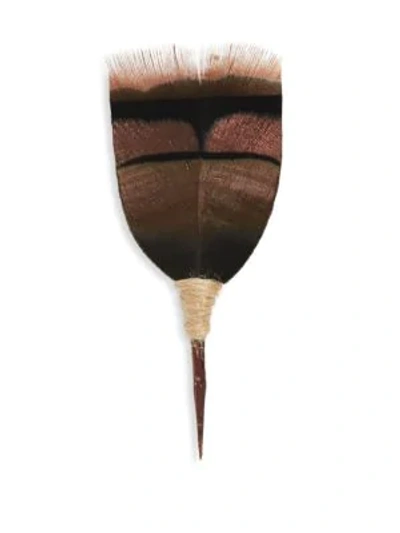 Shop Brackish Classic Feather Pin In Brown