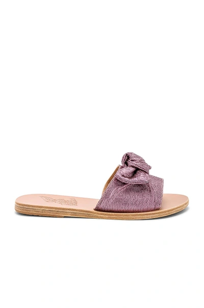 Shop Ancient Greek Sandals Taygete Bow Sandal In Pink