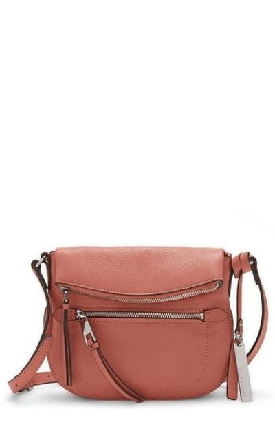 Shop Vince Camuto Tala Small Leather Crossbody Bag - Pink In Sushi