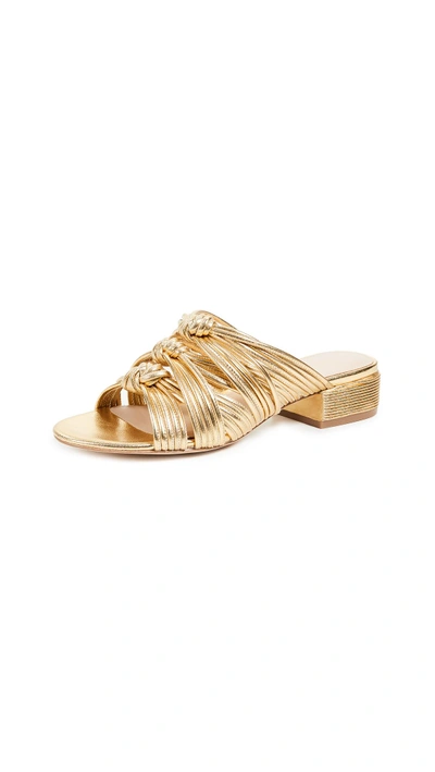 Shop Rachel Zoe Wren Sandals In Gold