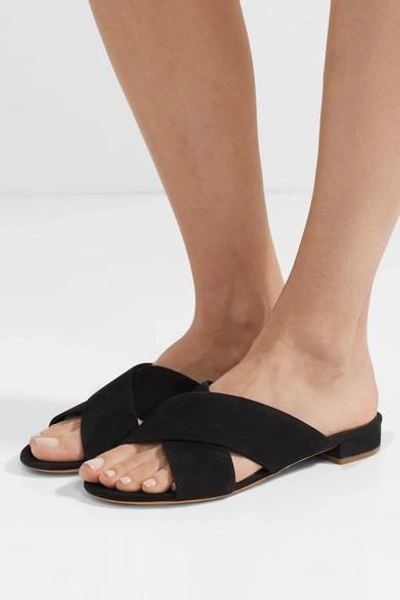 Shop Mansur Gavriel Suede Mules In Black