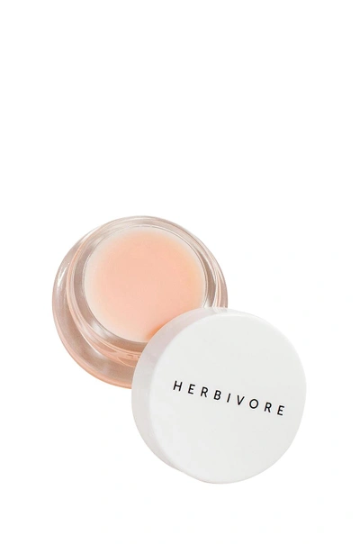 Shop Herbivore Botanicals Coco Rose Lip Conditioner In N,a