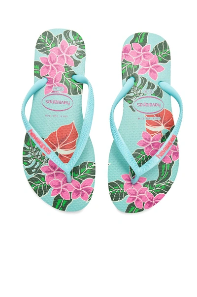 Shop Havaianas Slim Floral Sandal In Turquoise