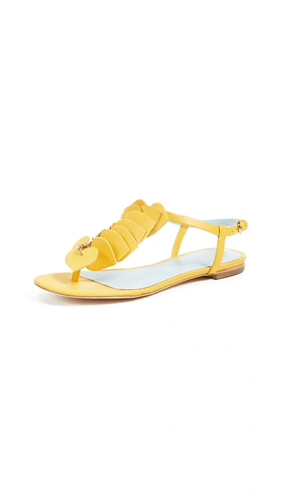 Shop Frances Valentine Allison Sandals In Yellow