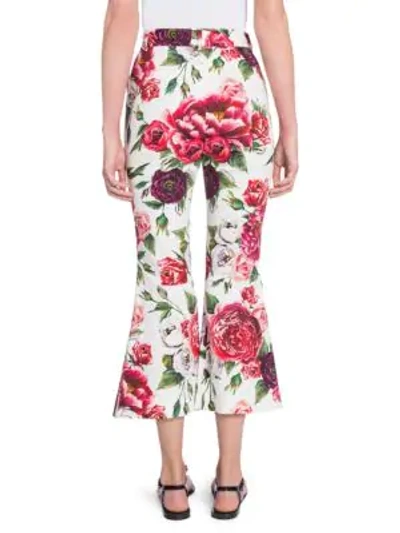 Shop Dolce & Gabbana Crop Flare Stampa Peonie Pants In Ivory Peony Print
