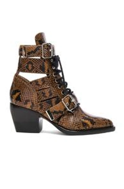 Shop Chloé Rylee Python Print Leather Lace Up Buckle Boots