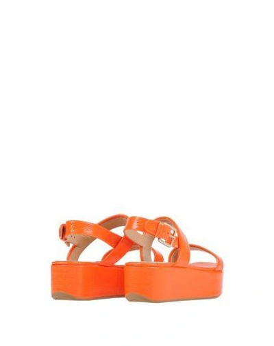 Shop Sergio Rossi Sandals In Orange