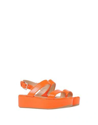 Shop Sergio Rossi Sandals In Orange