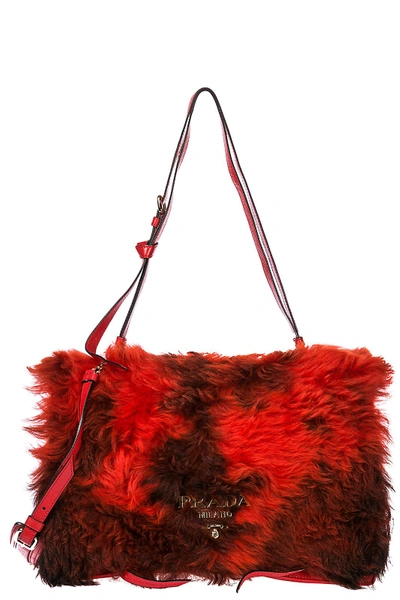 Shop Prada Women's Shoulder Bag In Red