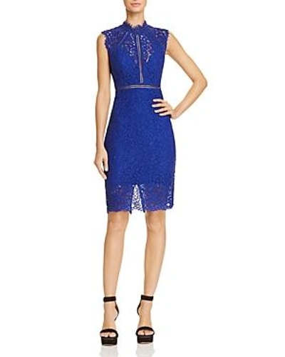 Shop Bardot Sheer Detail Lace Dress In Cobalt