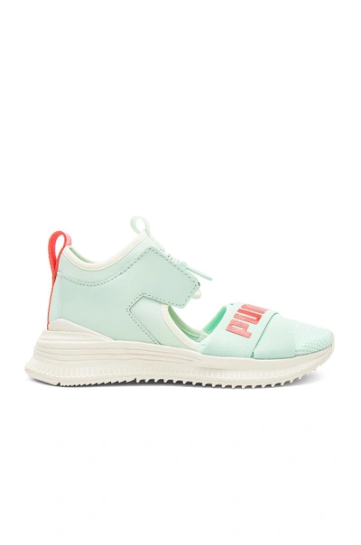 Shop Fenty X Puma Avid Sneaker In Blue