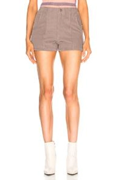 Shop Adaptation Longrider Short In Grey