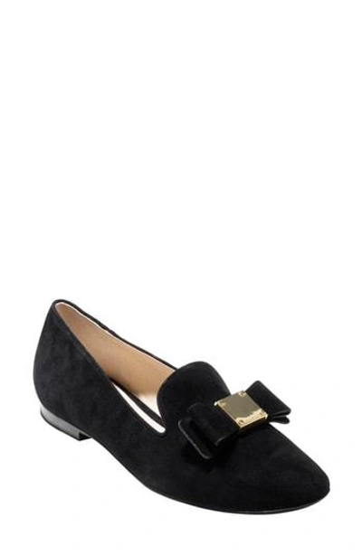 Shop Cole Haan Tali Bow Loafer In Black Suede