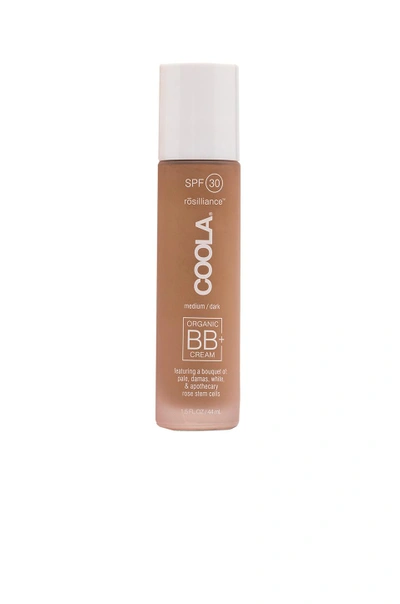 Shop Coola Rosilliance Tinted Moisturizer Organic Sunscreen Spf30 In Bronze Goddess