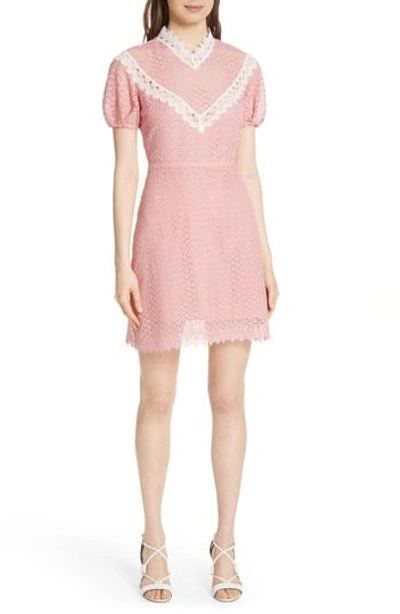 Shop Sandro Lace Dress In Peony