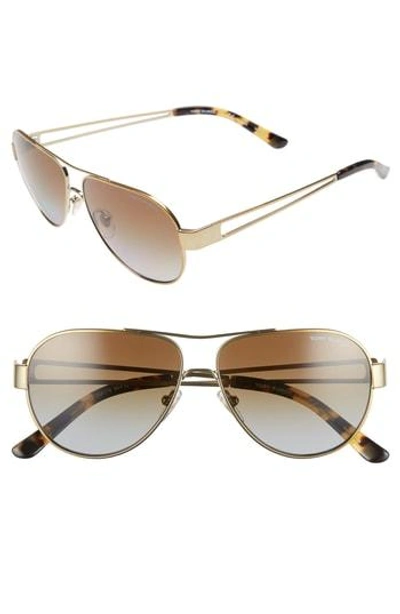 Shop Tory Burch 55mm Polarized Aviator Sunglasses - Gold/ Brown