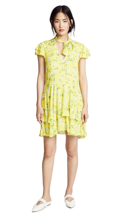 Shop Alice And Olivia Moore Layered Dress In Spring Primrose/lemon