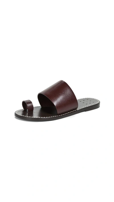 Shop Trademark Taos Slides With Toe Strap In Borod