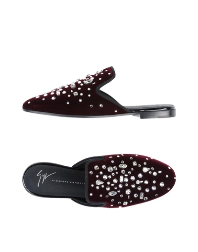 Shop Giuseppe Zanotti Mules In Maroon