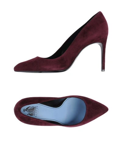 Shop Lanvin Pumps In Deep Purple