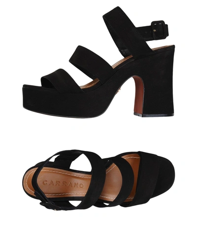 Shop Carrano Sandals In Black