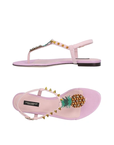 Shop Dolce & Gabbana Toe Strap Sandals In Light Pink