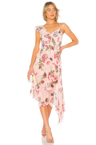 Shop Nicholas Floral Frill Dress In Pink