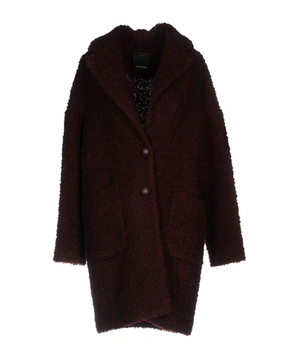 Shop Pinko Coat In Maroon